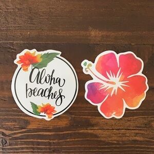 Stickers Large Set of 2 Water Bottle Laptop
